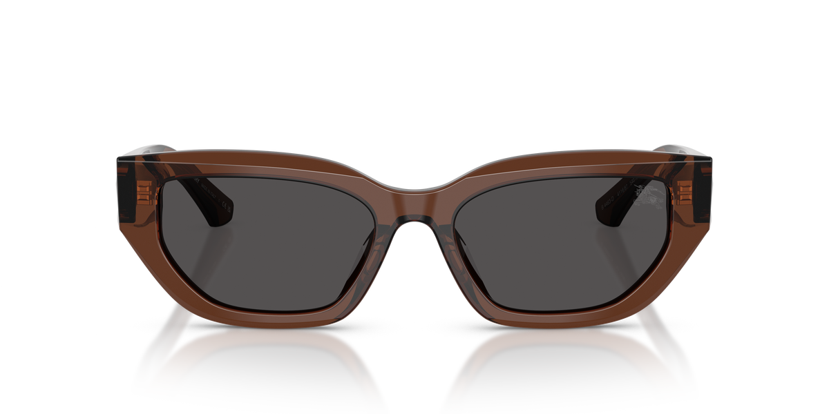 Burberry BE4463D Sunglasses in 411687 Brown / Dark Grey lens, front view