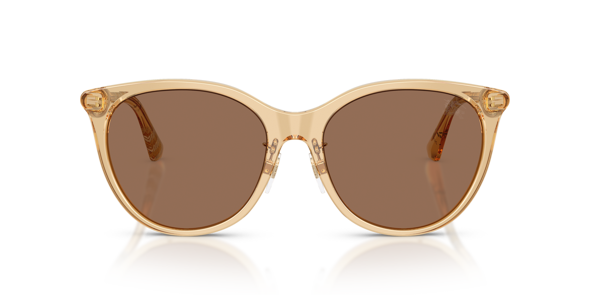 Burberry BE4464D Sunglasses in 416773 Beige / Dark Brown lens, front view