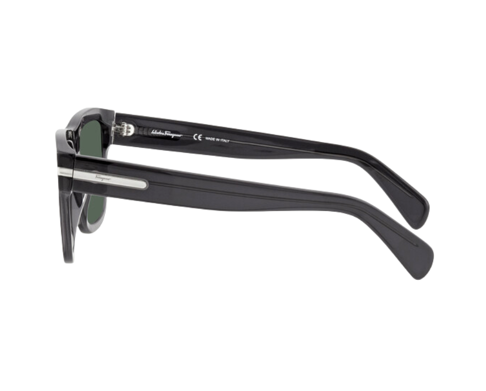 Salvatore Ferragamo | SF1014S 057 56