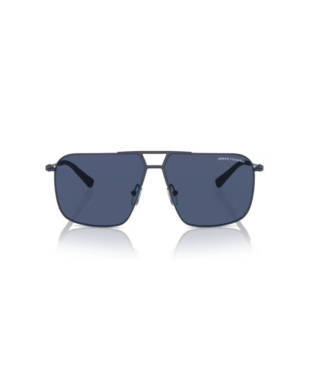 Armani Exchange Sunglass | AX2050S 609980 60