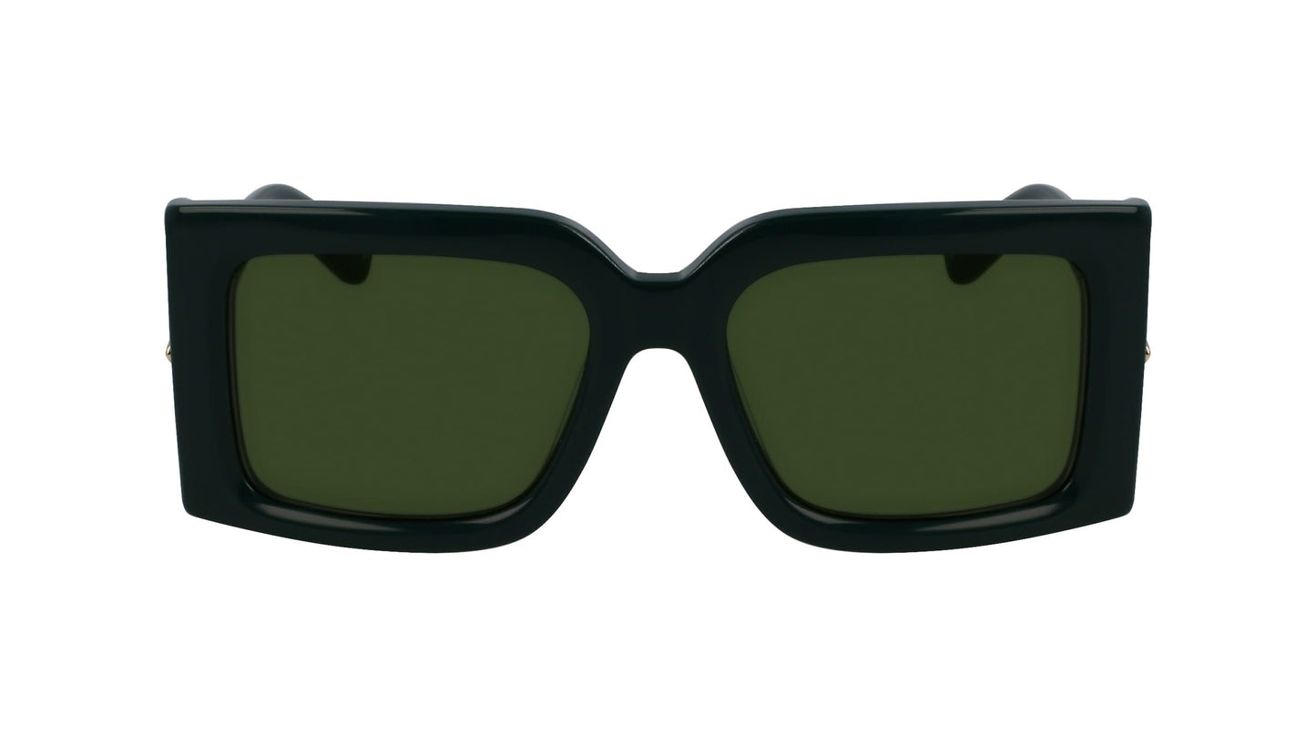 Salvatore Ferragamo | SF2032 302 55