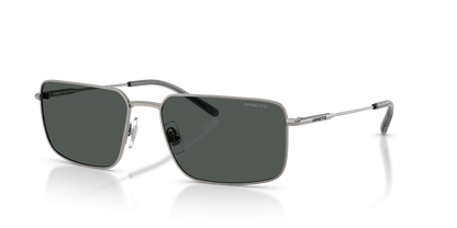 Arnette AN3095 Sunglasses in 741/87 Gunmetal / Dark Grey lens