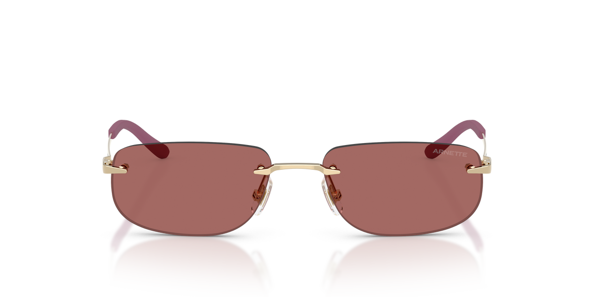 Arnette AN3096 Sunglasses in 748/69 Light Gold / Dark Violet lens, front view