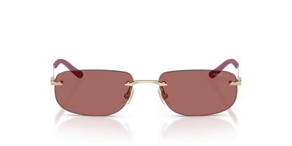 Arnette AN3096 Sunglasses in 748/69 Light Gold / Dark Violet lens, front view