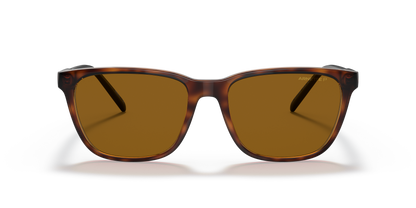 Arnette AN4291 Cortex Sunglasses in 277083 Dark Havana / Brown Polarized lens, front view