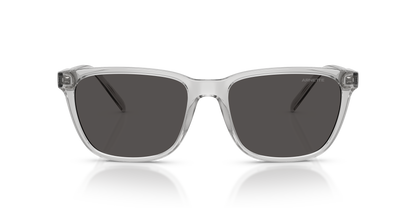 Arnette AN4291 Cortex Sunglasses in 285887 Transparent Light Grey / Dark Grey lens, front view