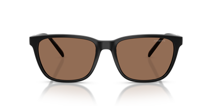 Arnette AN4291 Cortex Sunglasses in 290073 Black / Dark Brown lens, front view