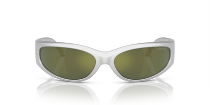 Arnette AN4302 Catfish Sunglasses in 28676R Metallic Silver / Dark Green Mirror Petrol lens, front view