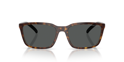 Arnette AN4311 Sunglasses in 295681 Havana / Dark Grey Polarized lens, front view