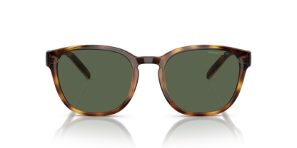Arnette AN4319 Barranco Sunglasses in 27709A Dark Havana / Dark Green Polarized lens, front view
