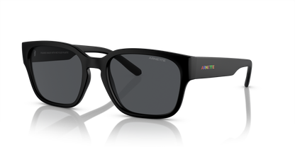 Arnette AN4325 Hamie Sunglasses in 290087 Matte Recycled Black / Dark Grey lens