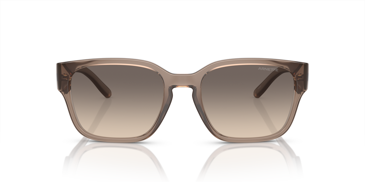 Arnette AN4325 Hamie Sunglasses in 290613 Transparent Tabacco / Gradient Brown lens, front view