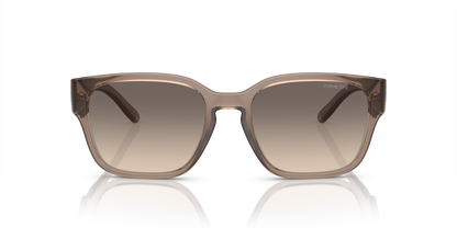 Arnette AN4325 Hamie Sunglasses in 290613 Transparent Tabacco / Gradient Brown lens, front view