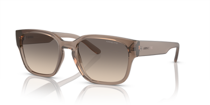 Arnette AN4325 Hamie Sunglasses in 290613 Transparent Tabacco / Gradient Brown lens