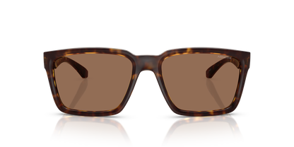 Arnette AN4346 Plot Twist Sunglasses in 277073 Dark Havana / Dark Brown lens, front view