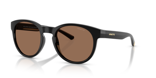 Arnette AN4371 Sunglasses in 290073 Recycled Black / Dark Brown lens