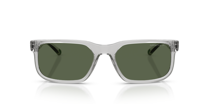 Arnette AN4372 Sunglasses in 28589A Transparent Light Grey / Dark Green Polarized lens, front view