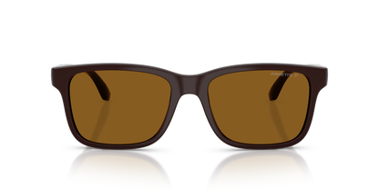Arnette AN4378 Sunglasses in 302783 Chocolate / Dark Brown Polarized lens, front view