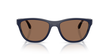 Arnette AN4379 Sunglasses in 276273 Navy Blue / Dark Brown lens, front view