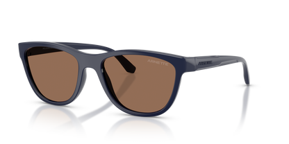 Arnette AN4379 Sunglasses in 276273 Navy Blue / Dark Brown lens