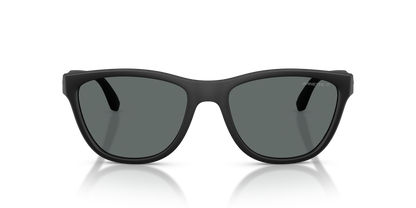 Arnette AN4379 Sunglasses in 290081 Matte Recycled Black / Dark Grey Polarized lens, front view
