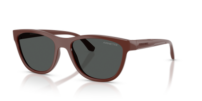 Arnette AN4379 Sunglasses in 304887 Brick / Dark Grey lens