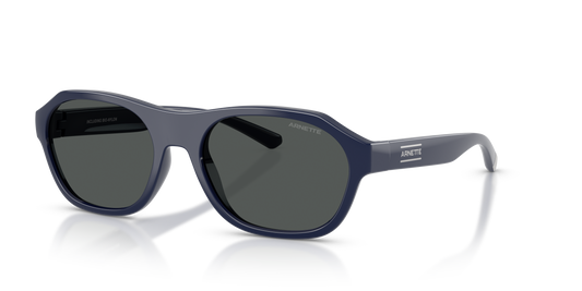 Arnette AN4380 Sunglasses in 275487 Dark Blue / Dark Grey lens