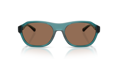 Arnette AN4380 Sunglasses in 304673 Transparent Petrol / Dark Brown lens, front view