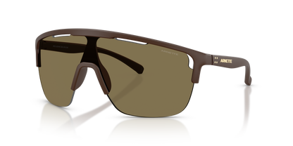 Arnette AN4381 Sunglasses in 3050/2 Matte Bordeaux / Coffee lens