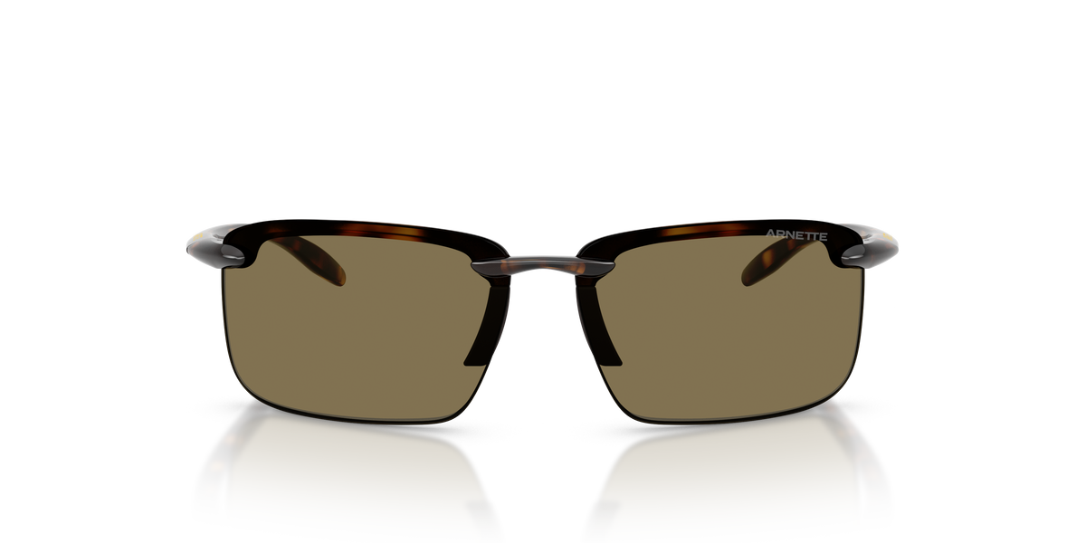 Arnette AN4383 Sunglasses in 2770/2 Havana / Coffee lens, front view