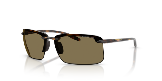 Arnette AN4383 Sunglasses in 2770/2 Havana / Coffee lens