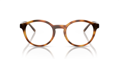 Arnette AN7242 Allye Eyeglasses Frame in 2770 Dark Havana, front view
