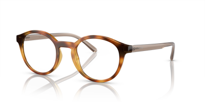 Arnette AN7242 Allye Eyeglasses Frame in 2770 Dark Havana
