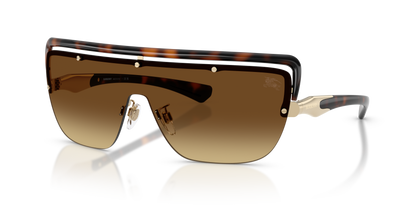 Burberry BE3175 Sunglasses in 110913 Dark Havana / Marrone Sfumato lens