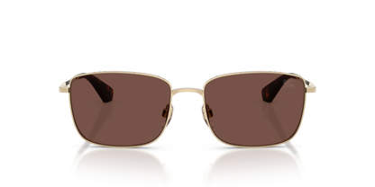 Burberry BE3178 Sunglasses in 110973 Light Gold / Black Chocolate lens, front view