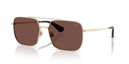 Burberry BE3179 Sunglasses in 110973 Light Gold / Black Chocolate lens