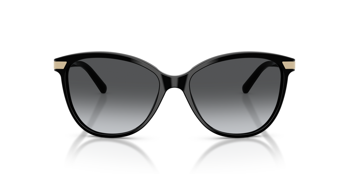 Burberry BE4216 Sunglasses in 3001T3 Black / Polarized Grey Gradient lens, front view