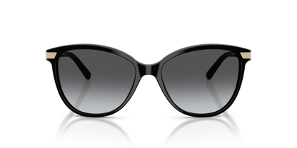 Burberry BE4216 Sunglasses in 3001T3 Black / Polarized Grey Gradient lens, front view