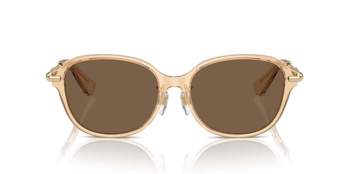 Burberry BE4429D Sunglasses in 406373 Brown / Dark Brown lens, front view