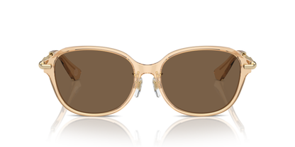 Burberry BE4429D Sunglasses in 406373 Brown / Dark Brown lens, front view