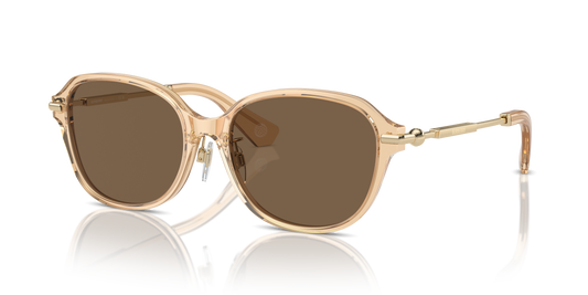 Burberry BE4429D Sunglasses in 406373 Brown / Dark Brown lens