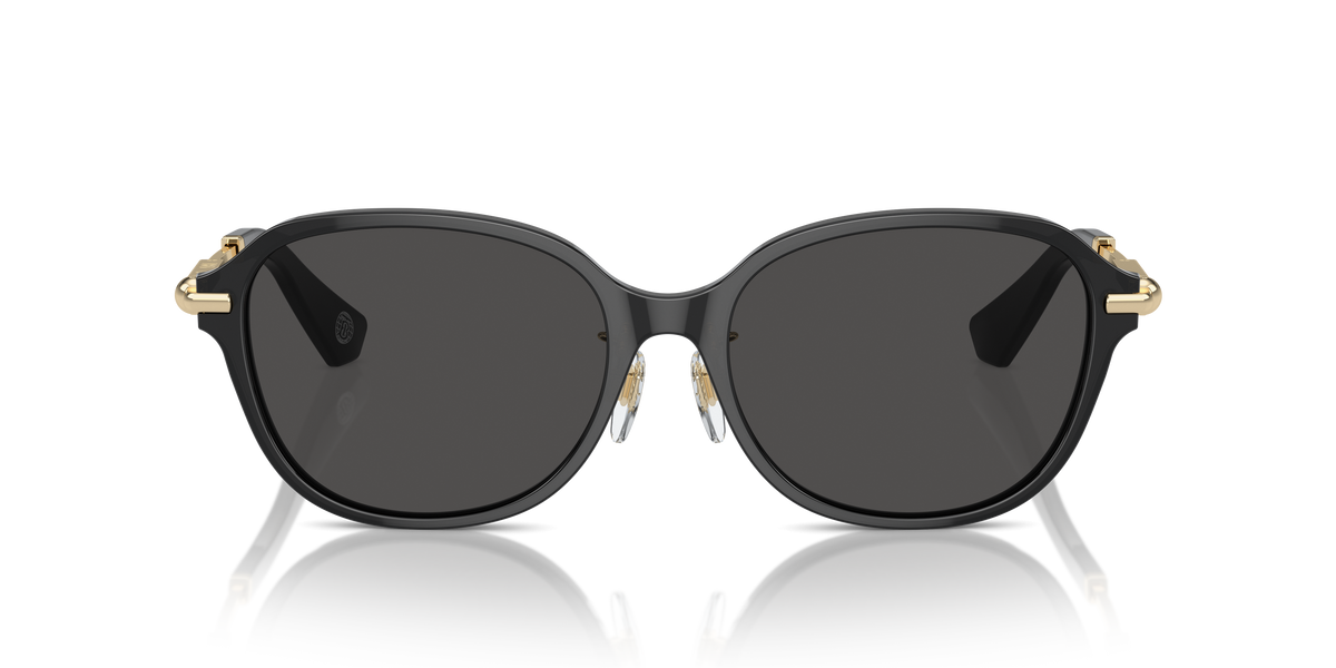 Burberry BE4429D Sunglasses in 411287 Dark Grey / Dark Grey lens, front view