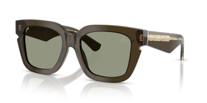 Burberry BE4453 Sunglasses in 3010/2 Green / Green lens