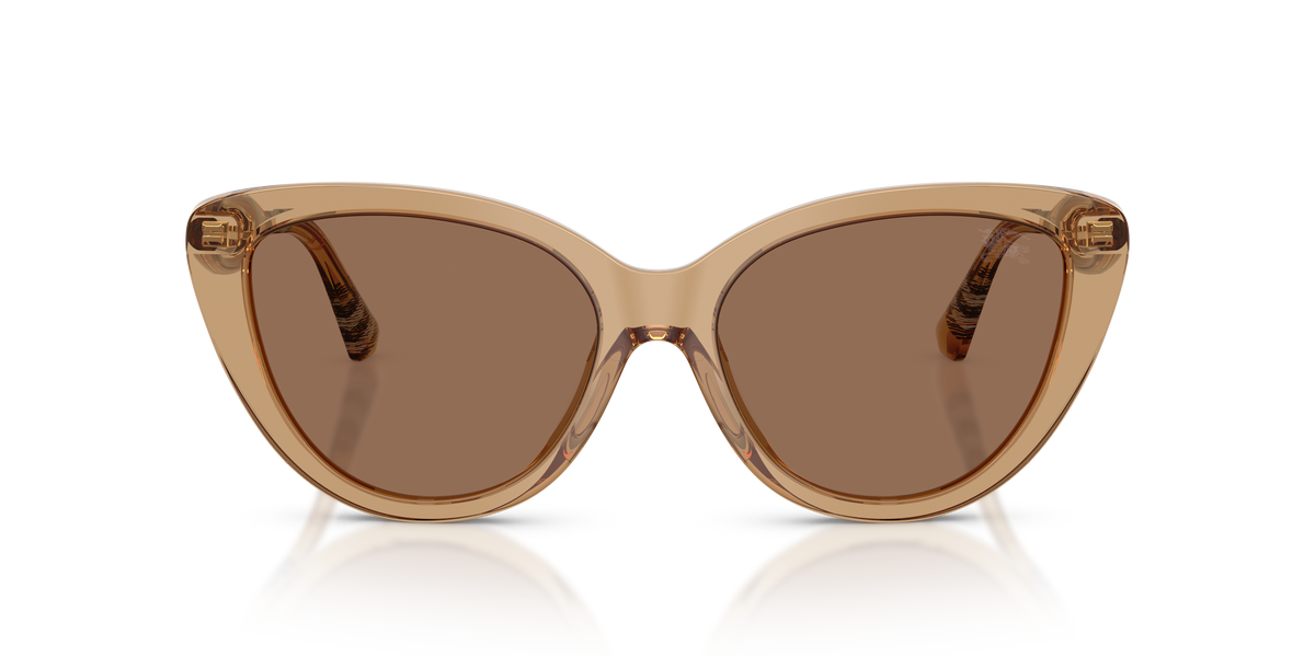 Burberry BE4457 Sunglasses in 416473 Beige / Dark Brown lens, front view