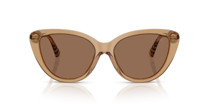 Burberry BE4457 Sunglasses in 416473 Beige / Dark Brown lens, front view