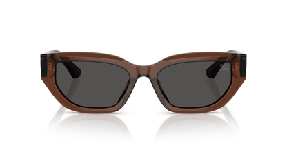 Burberry BE4463D Sunglasses in 411687 Brown / Dark Grey lens, front view