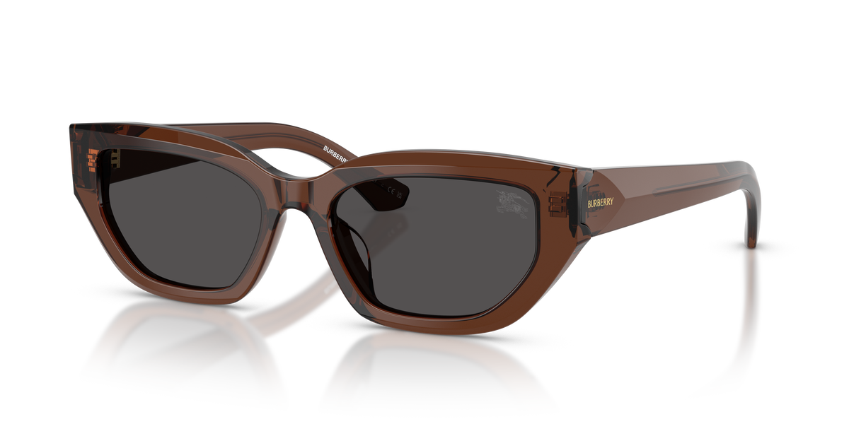 Burberry BE4463D Sunglasses in 411687 Brown / Dark Grey lens