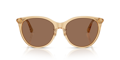 Burberry BE4464D Sunglasses in 416773 Beige / Dark Brown lens, front view
