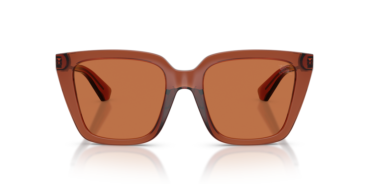 Burberry BE4473U Sunglasses in 419573 Brown / Brown lens, front view