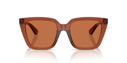 Burberry BE4473U Sunglasses in 419573 Brown / Brown lens, front view